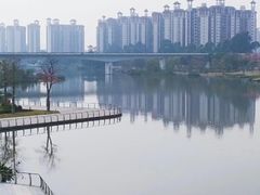 -大湾区中央湿地公园