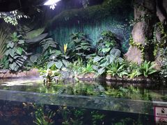 景点-郑州海洋馆