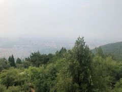 -府君山公园