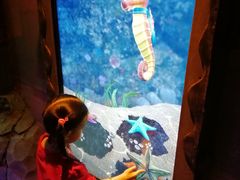 -沈阳海洋探索中心