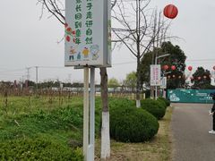 -菊园百果园