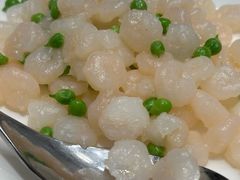 -新吉士·上海菜(浦东LCM置汇旭辉店)