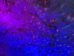 -陶祖圣境风景区