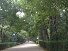 -森林公园(尖草坪区)