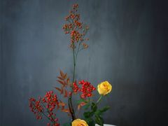 -尚荣堂(高丰家园店)