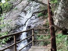 -东天目山风景区