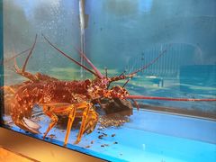 -西村日本料理(香格里拉饭店)