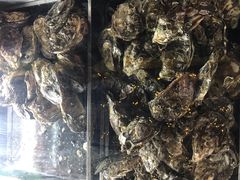 -土蚝·高压锅生蚝(百姓美食街店)