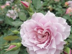 -人民公园(罗湖区)