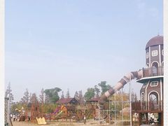 -上海长兴岛郊野公园