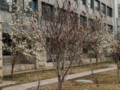 -内蒙古工业大学(新城校区)