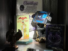 -雪灵魔法世界SHELLY’S TAROT(大良桂畔里店)