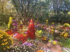 -上海共青森林公园