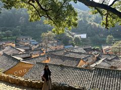 -杨家堂村
