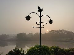 -东莞植物园