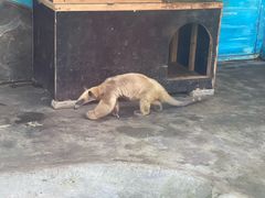 -大连森林动物园