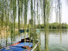 -济南大明湖景区