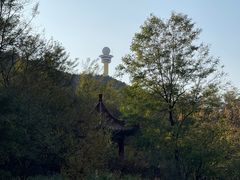 -大连植物园