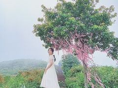 -瑞安圣井山景区