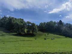 -新疆那拉提国家旅游度假区