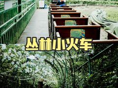 -成都松鼠部落