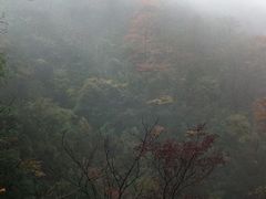 景点-藏龙百瀑风景区