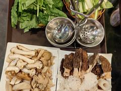 -蘑统田下·野生菌火锅