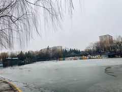 -团结湖公园