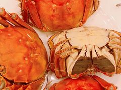 清蒸大闸蟹-王宝和酒家(黄浦店)