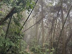 -缙云山景区