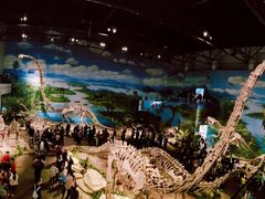 -自贡恐龙博物馆