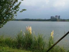 -星巴克(成都科学城店)