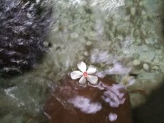 -三亚珠江南田温泉度假区