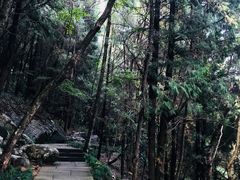 -灵栖洞天