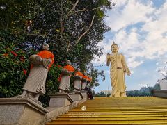 -西双版纳勐泐文化旅游区
