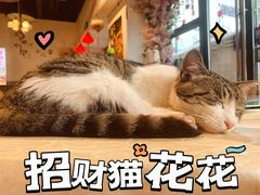 -牟记江湖特色重庆菜鱼蛋小龙虾黄鳝鸡腰(巴南区鱼洞鲁能店)