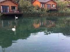 -杭州开元森泊度假乐园