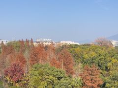 -忆咖啡观景餐厅(桂林象山公园店)