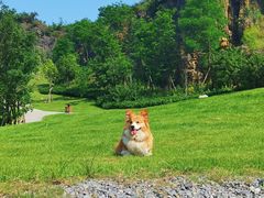 -铜锣山矿山公园