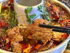 -探吃·美食潮玩汇