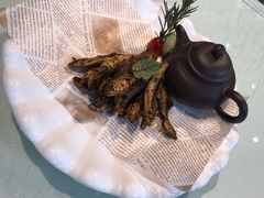 -半岛公馆(淞兴西路店)