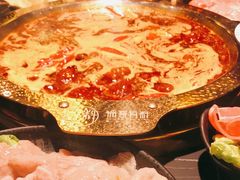 -锅哥有料老火锅(金港国际店)