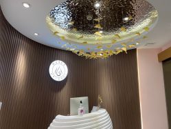 点击看大图 -MUSES专业脱毛比基尼サロン日式连锁