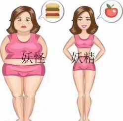 -香薇妮丝女子减肥院