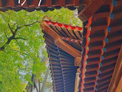 -承德避暑山庄景区