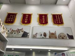 -爱侣宠医·鹦鹉专科·小型哺乳类·异宠专科(灵石路店)