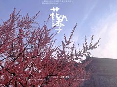 -西山风景区