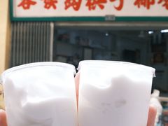 -洪馨椰子