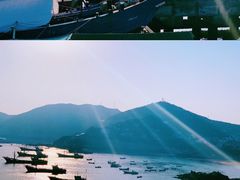 -枸杞岛