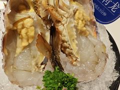 -海月轩海鲜豆捞(紫金塔店)